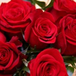 The 12 States Where Employment at Florists Is Withering the Most