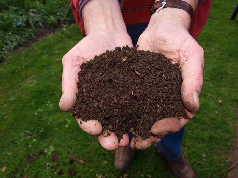 Soil in Hands with ground background