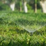 5 Tips for Watering Your Lawn in Fort Worth