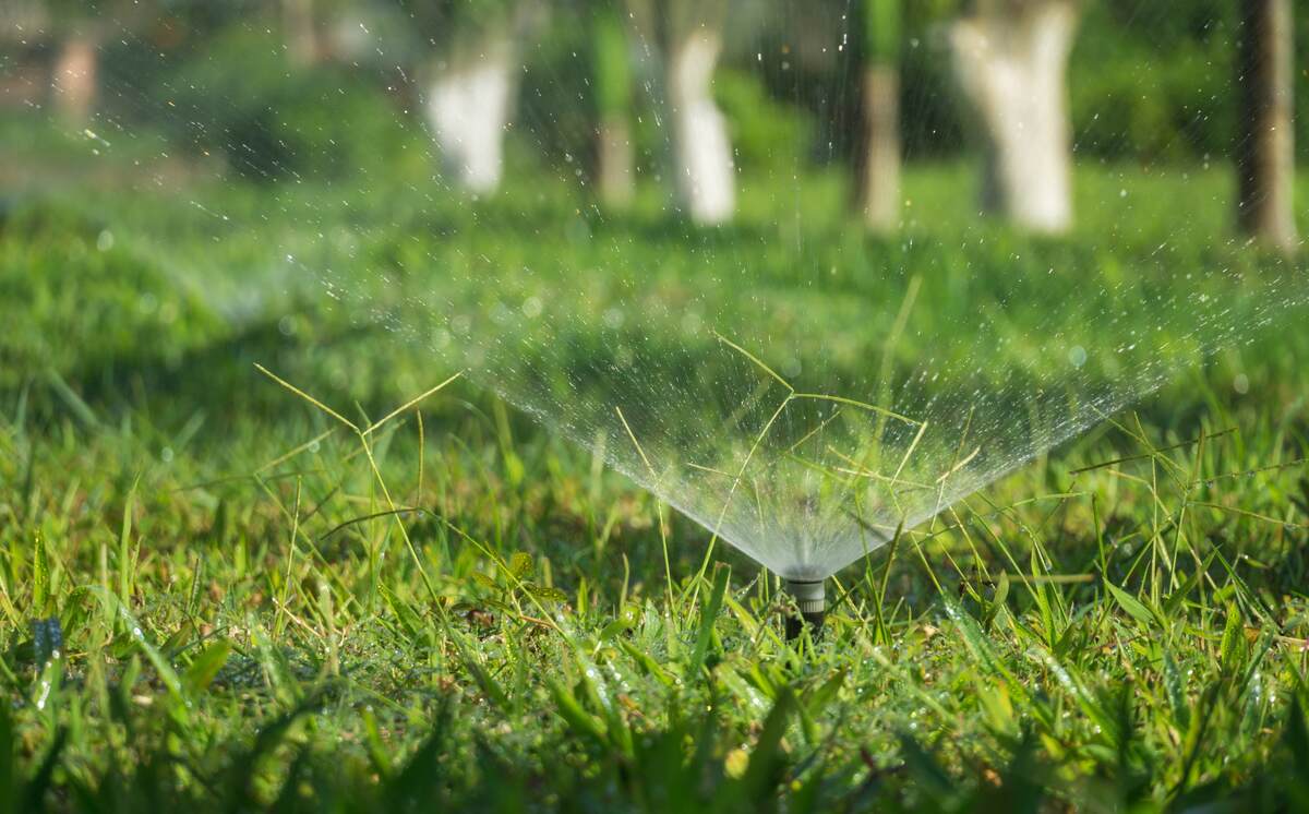 image of water sprinkling out of a sprinkler system