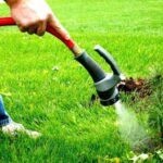 4 Tips for Watering Your Jacksonville Lawn