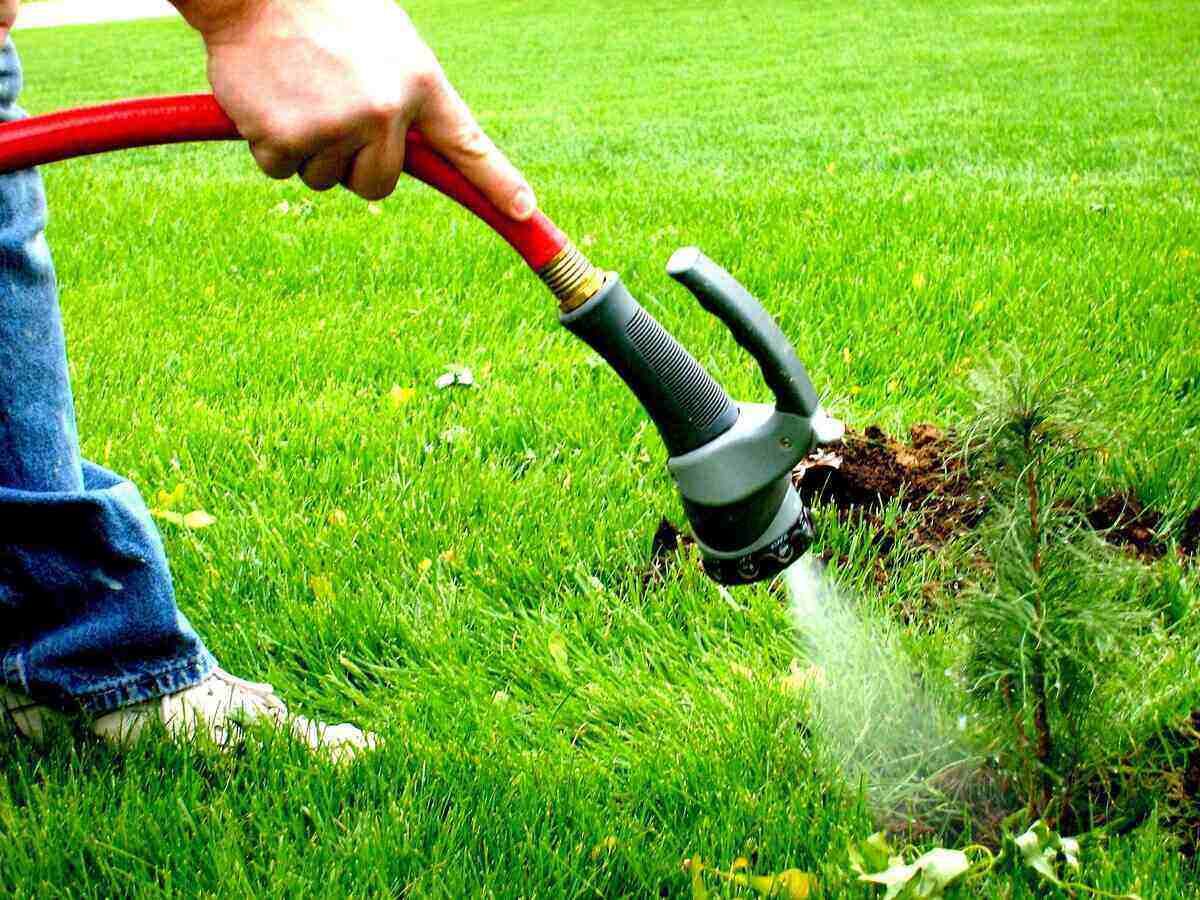 Man Watering the Lawn with water hose