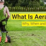 What Is Aeration? [Video]