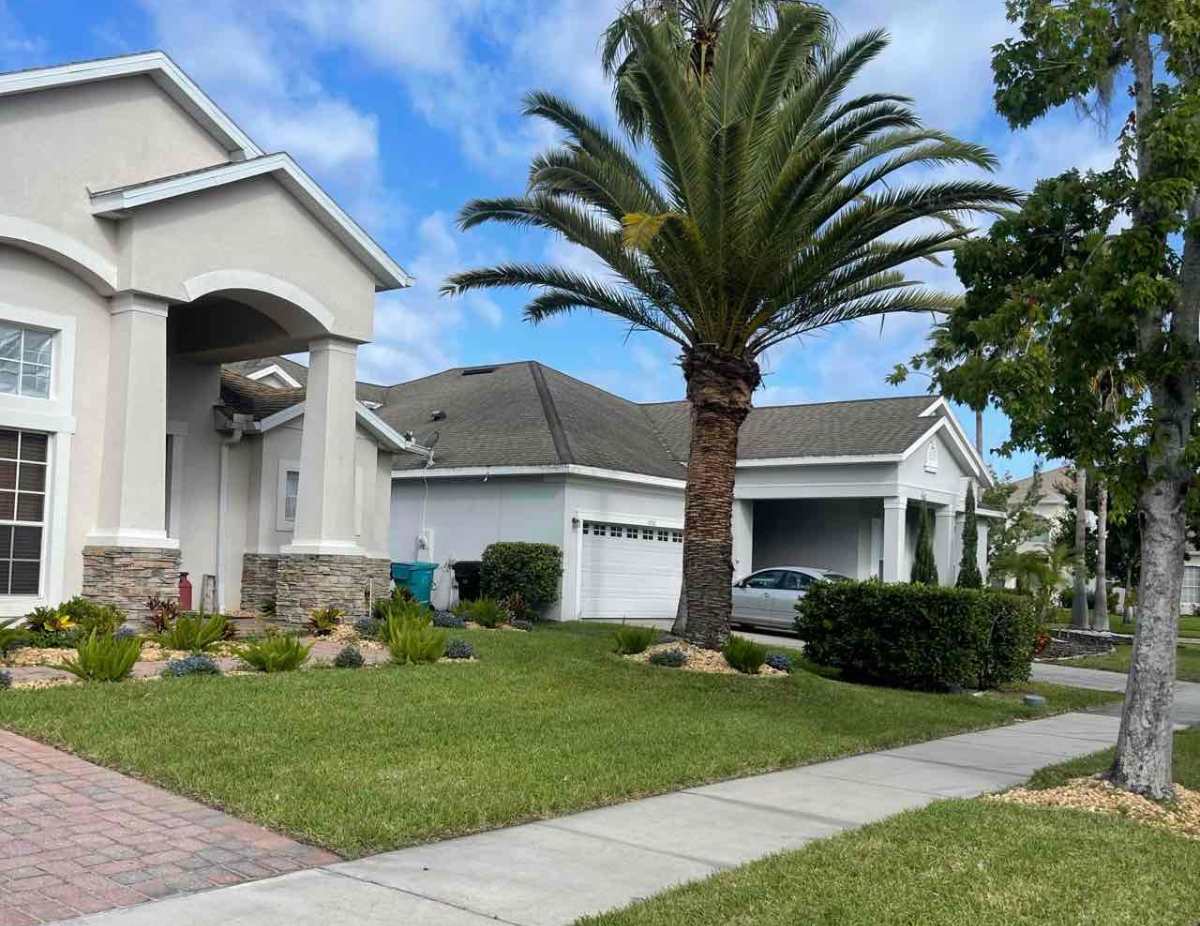 Front yard of suburban Orlando home with green lawn, palm tree, manicured shrubs, and light-colored stucco house exterior.