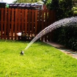 6 Tips for Watering Your Orlando Lawn