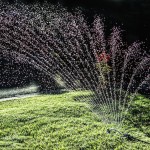 5 Tips for Watering Your Lawn in Fort Worth
