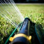 6 Tips for Watering Your Lawn in Charlotte