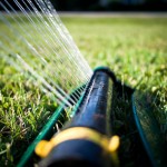 6 Tips for Watering Your Lawn in Charlotte