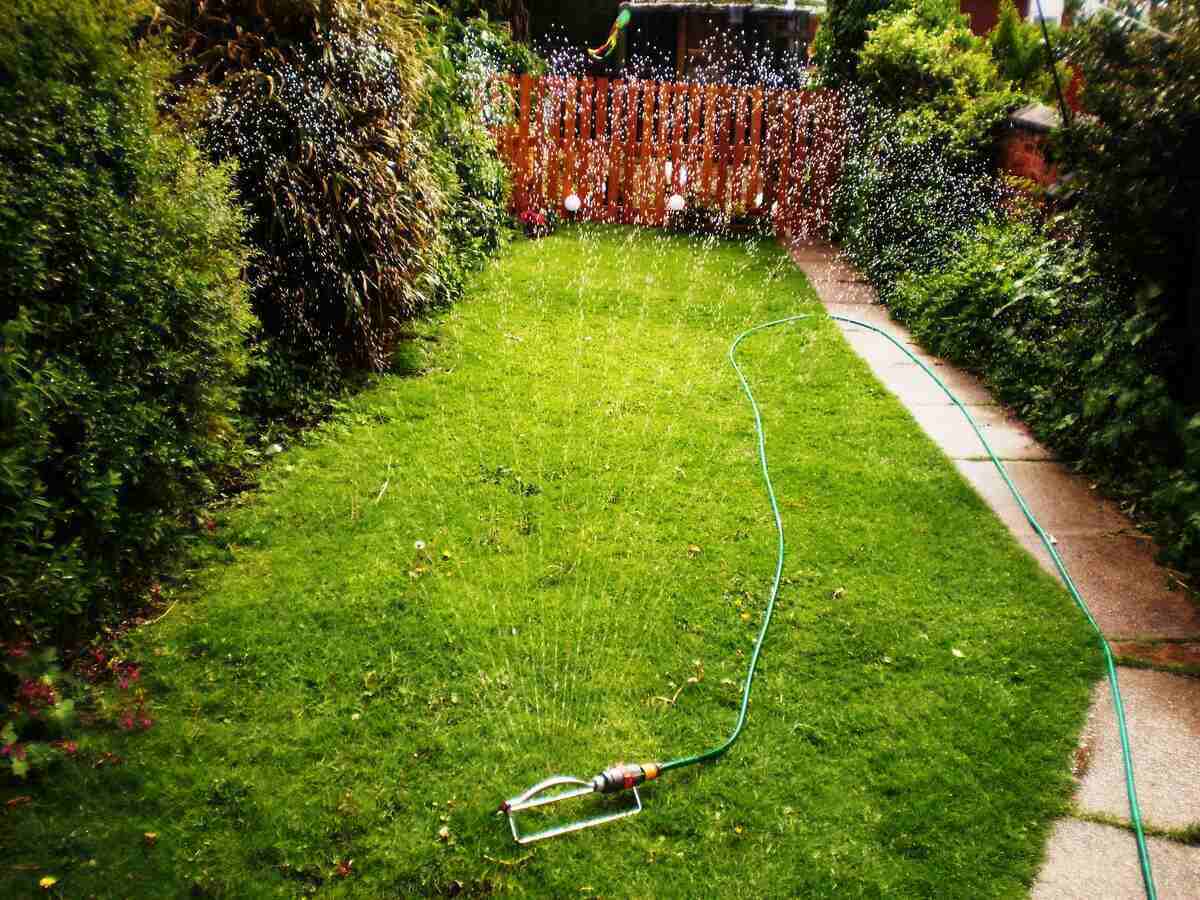 Lawn Sprinkler