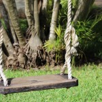 6 Steps to Make Sure Your Tampa Area Lawn is Ready for the Spring