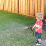 5 Watering Tips for San Antonio Lawns