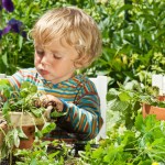 National Garden Month: 13 of Our Favorite Gardening Tweets