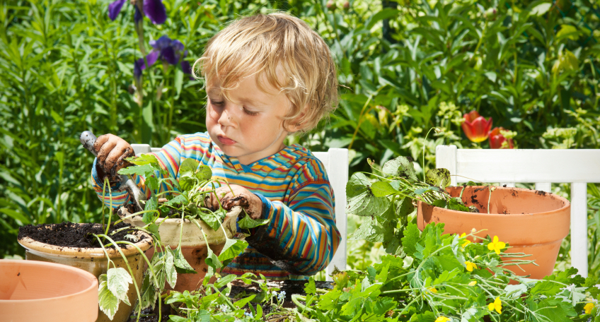 little boy gardening