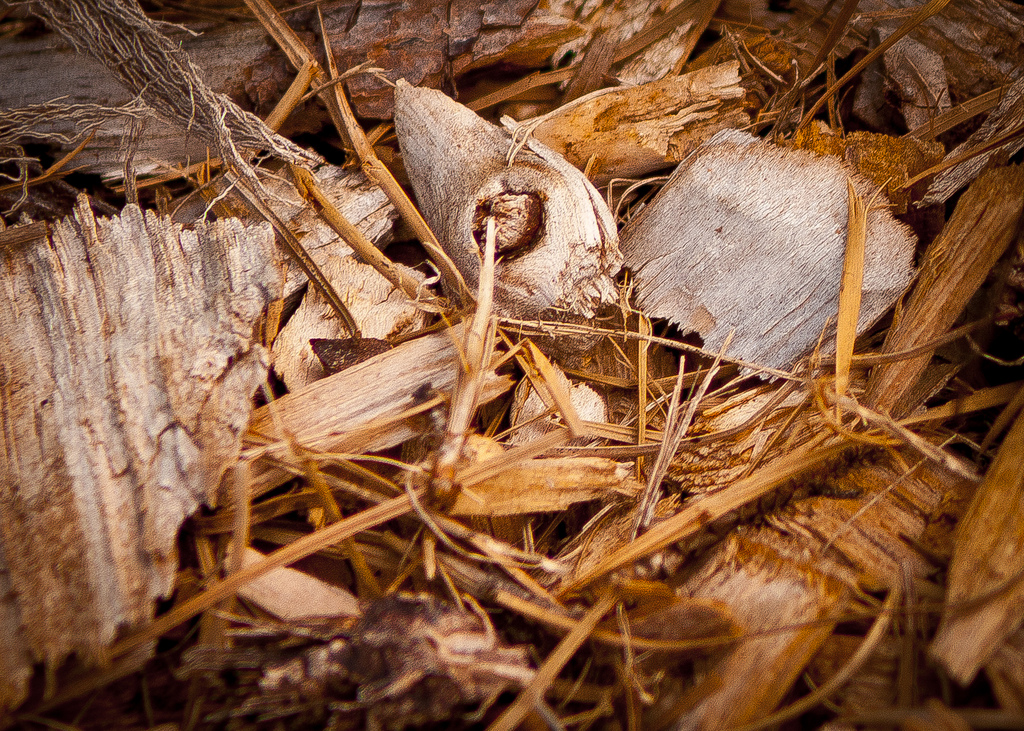 mulch-richmond-va