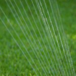 Summertime Lawn Care Tips in Tampa, FL