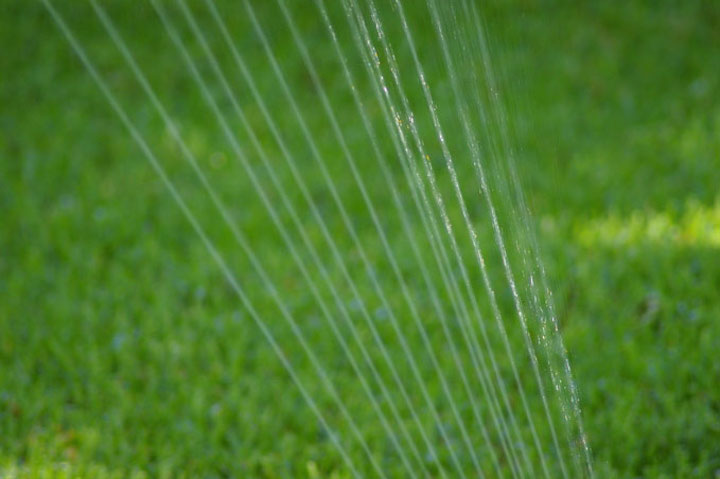lawn sprinkler