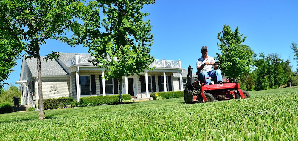 lawn mowing