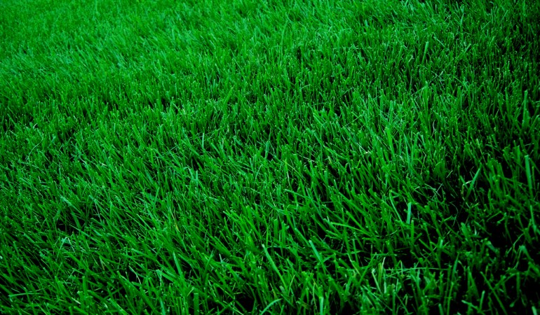 raleigh nc lawn care service lawn mowing from 19 lawnstarter raleigh nc lawn care service lawn mowing from 19 lawnstarter