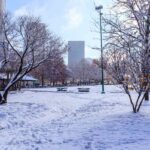 Rare winter snowfall covering downtown Atlanta skyline, trees, and streets, highlighting seasonal landscape and cold weather conditions in Atlanta, Georgia