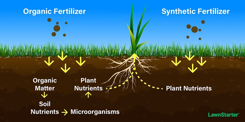 illustration of a fertilizer LawnStarter