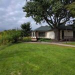 4 Best Grass Types for Minneapolis, MN