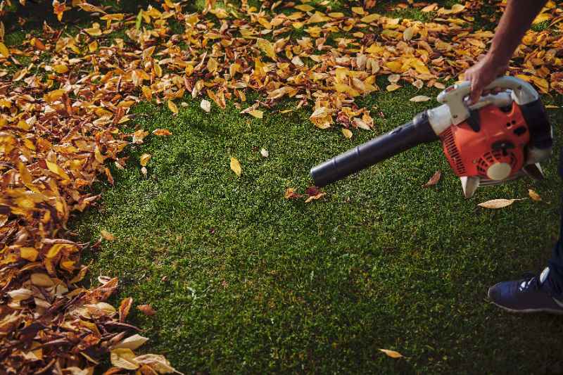 Person using a leaf blower to clear fallen autumn leaves from green lawn, keeping yard clean, healthy, and free of debris