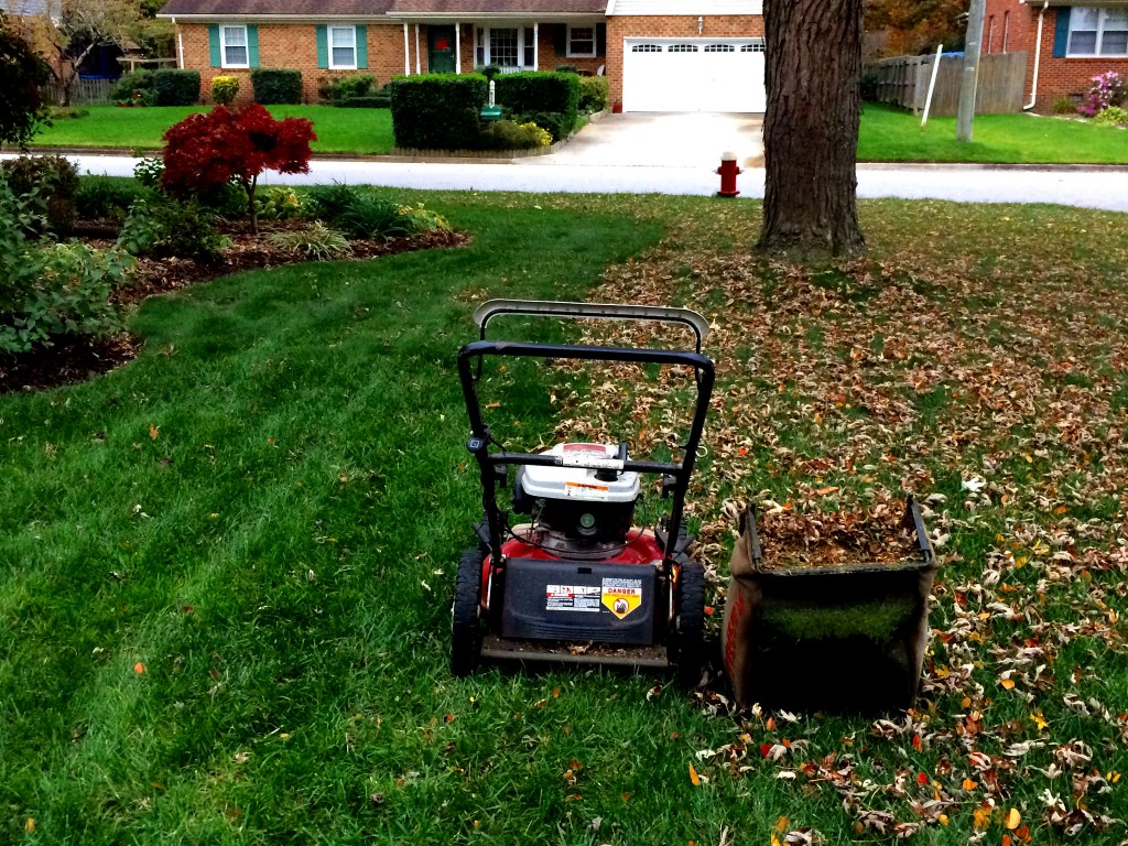 mower-leaves