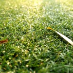 5 Steps for Prepping Your Lawn for a Nashville Winter
