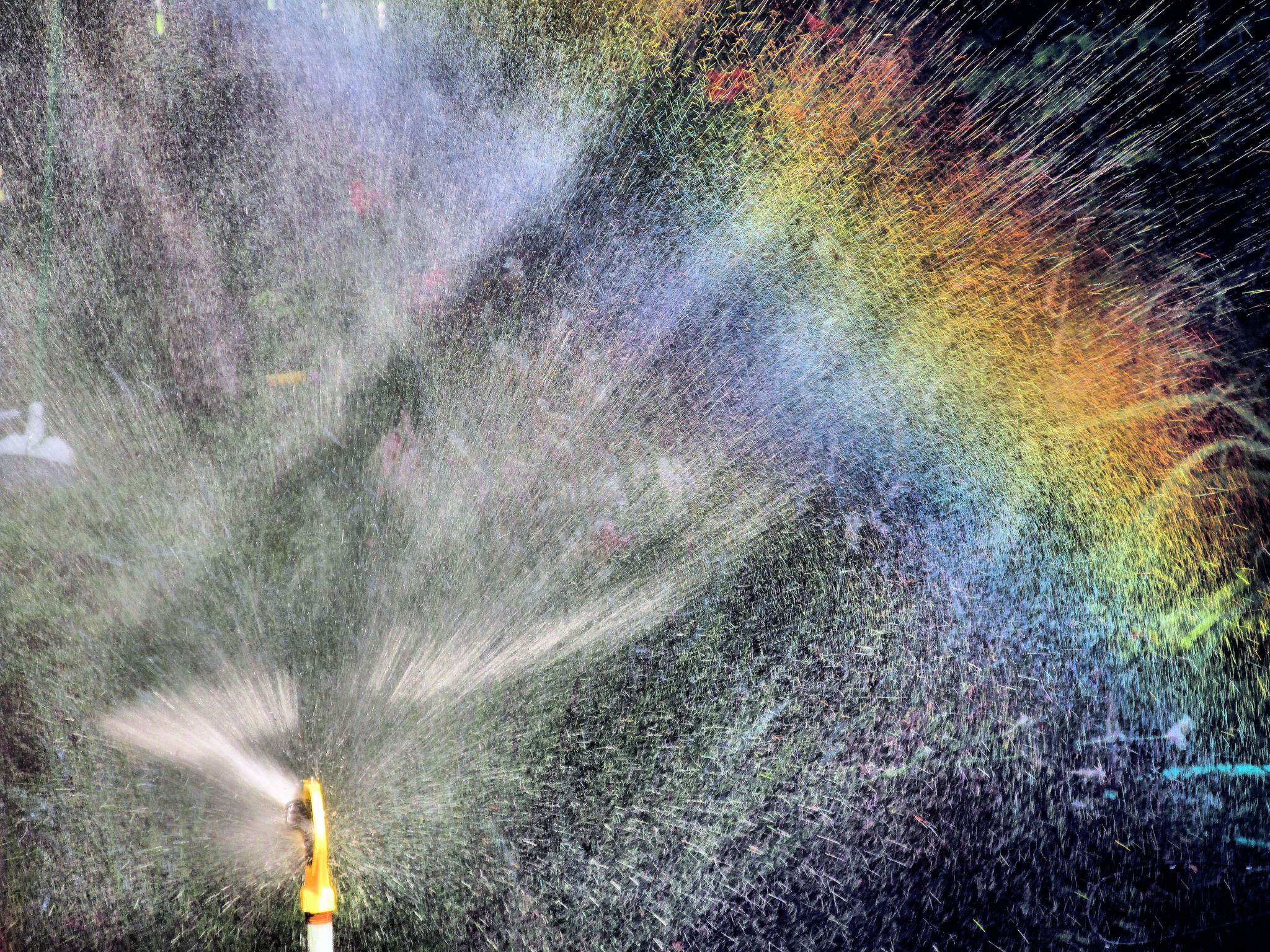 sprinkler