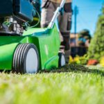How To Do Fall Lawn Care in Atlanta Like a Pro