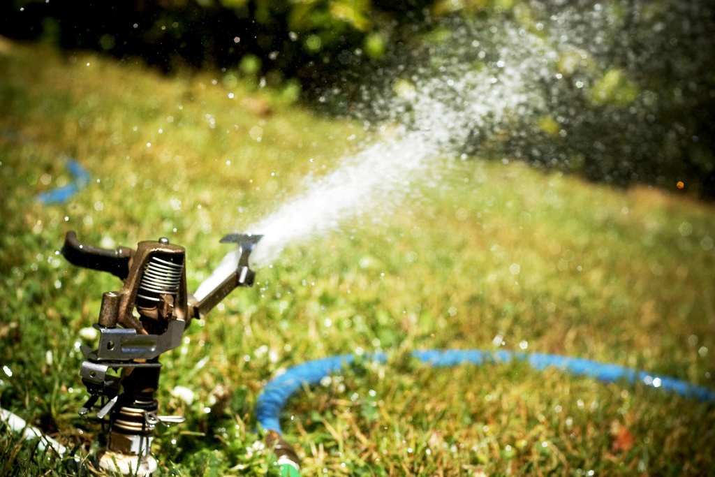irrigation