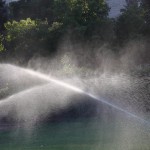 Lawn Watering Tips for Every Season in Kansas City, MO