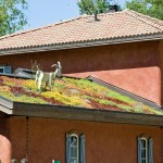 The 10 Best Green Roofs on U.S. Homes