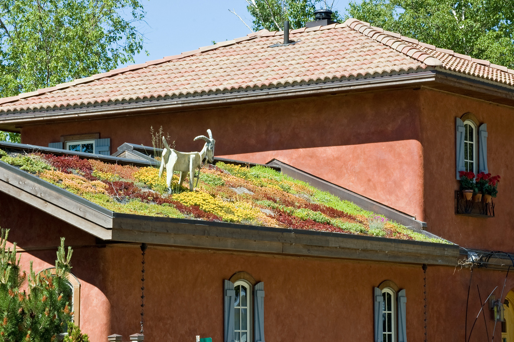 The 10 Best Green Roofs on U.S. Homes - Lawnstarter