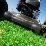 3 Fundamental Tips for Summer Lawn Care in The Mile High City
