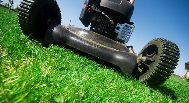 lawn-mower