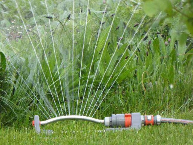 Sprinkler watering lawn