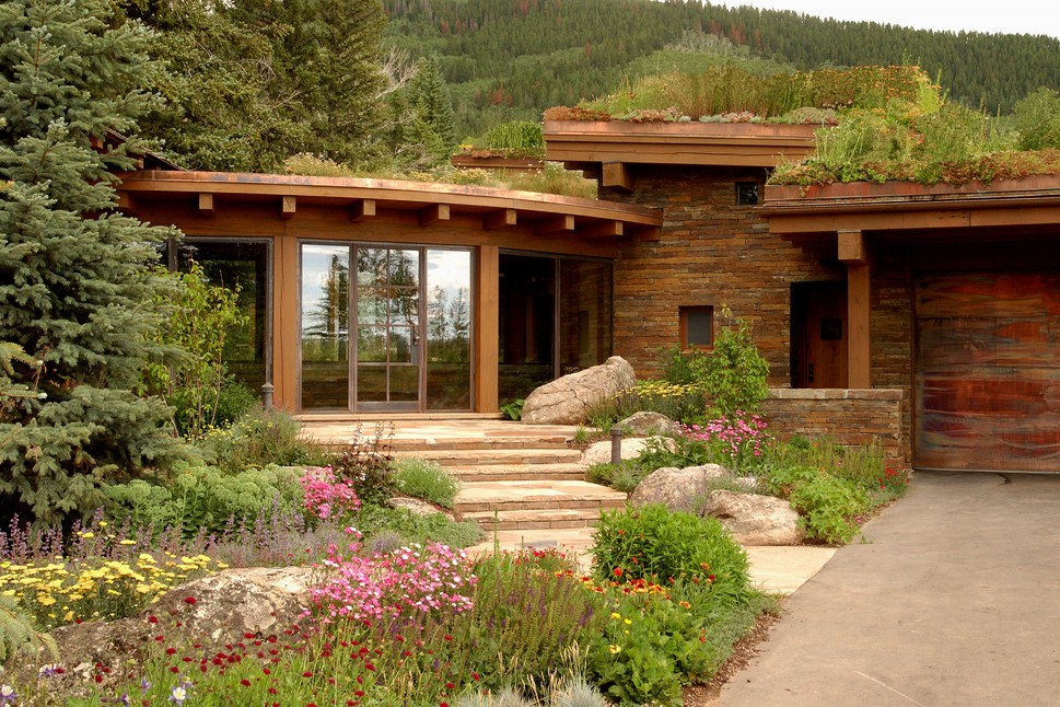 House With Green Roof With Luxury Interior