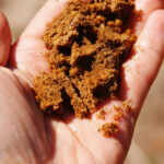 How to Amend Sandy Soil