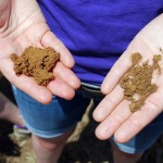 How To Fix Sandy Soil in Virginia Beach, VA