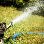 The Big 3 Lawn Watering Tips in Durham, NC
