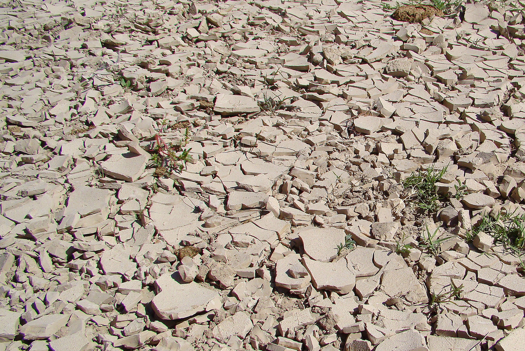texas-drought