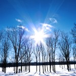 Winter Lawn Care Tips for Minneapolis, MN Homeowners