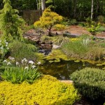 The 5 Most Glamorous Gardens in Cary, NC