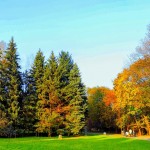 4 Easy Fall Lawn Care Tips for Baton Rouge Homeowners