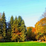 Fall Lawn Care in Providence, RI