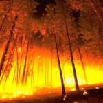 Which State Is the Riskiest for Home Damage Caused by Wildfires?