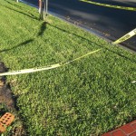 5 Tips for Establishing a New Lawn in VA Beach