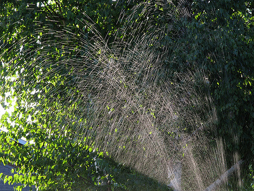 Watering