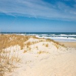 The 4 Best Grass Types for Sandy Soils (Virginia Beach, VA)
